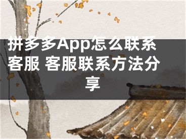 拼多多App怎么联系客服 客服联系方法分享