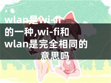 wlan是wi-fi的一种,wi-fi和wlan是完全相同的意思吗