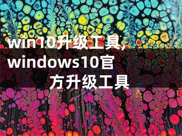 win10升级工具,windows10官方升级工具