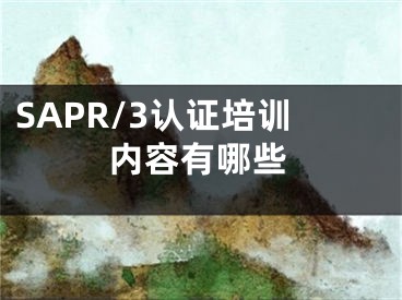 SAPR/3认证培训内容有哪些