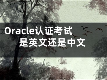 Oracle认证考试是英文还是中文
