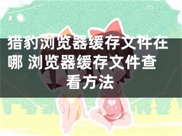 猎豹浏览器缓存文件在哪 浏览器缓存文件查看方法