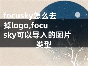 focusky怎么去掉logo,focusky可以导入的图片类型