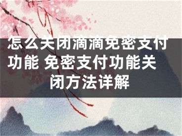 怎么关闭滴滴免密支付功能 免密支付功能关闭方法详解