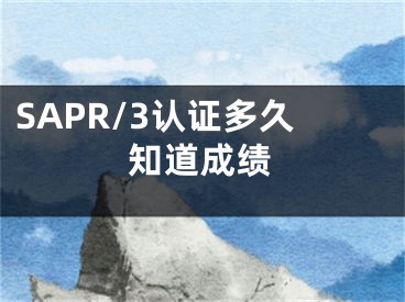 SAPR/3认证多久知道成绩