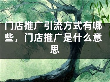 门店推广引流方式有哪些，门店推广是什么意思
