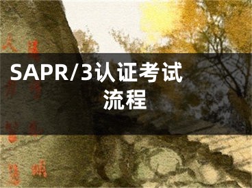 SAPR/3认证考试流程