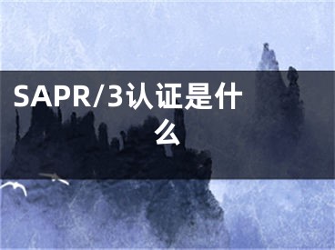 SAPR/3认证是什么