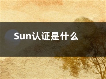 Sun认证是什么