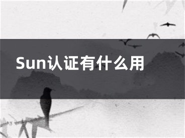 Sun认证有什么用