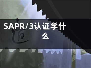 SAPR/3认证学什么