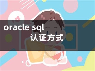 oracle sql认证方式