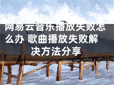 网易云音乐播放失败怎么办 歌曲播放失败解决方法分享