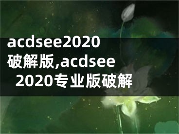 acdsee2020破解版,acdsee2020专业版破解