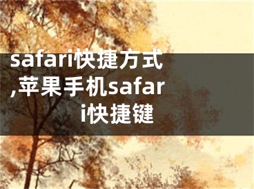 safari快捷方式,苹果手机safari快捷键