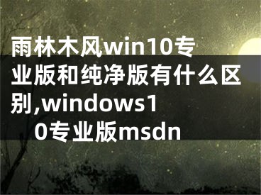 雨林木风win10专业版和纯净版有什么区别,windows10专业版msdn