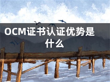 OCM证书认证优势是什么