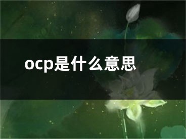 ocp是什么意思