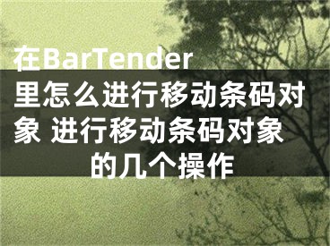 在BarTender里怎么进行移动条码对象 进行移动条码对象的几个操作
