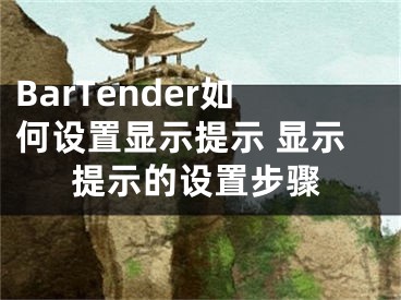 BarTender如何设置显示提示 显示提示的设置步骤