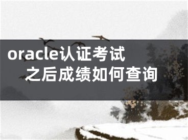 oracle认证考试之后成绩如何查询