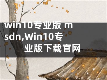 win10专业版 msdn,Win10专业版下载官网