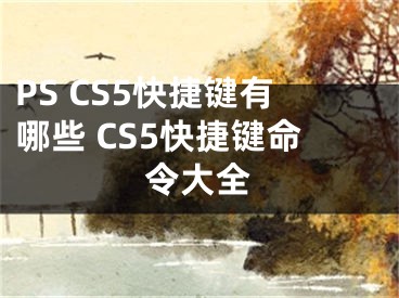 PS CS5快捷键有哪些 CS5快捷键命令大全