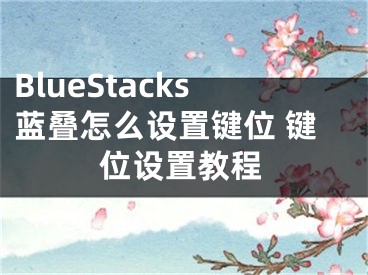 BlueStacks蓝叠怎么设置键位 键位设置教程