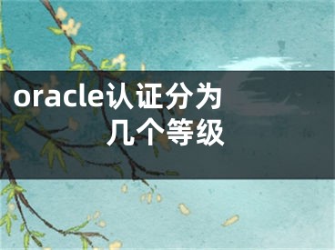 oracle认证分为几个等级