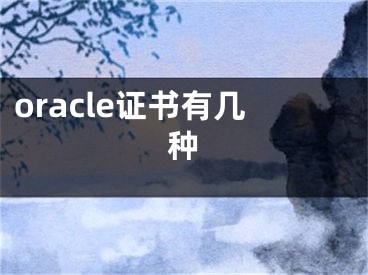 oracle证书有几种