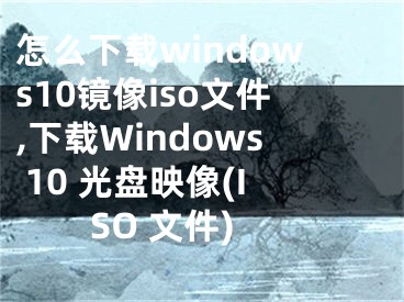 怎么下载windows10镜像iso文件,下载Windows 10 光盘映像(ISO 文件)