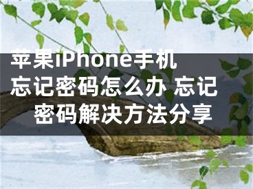 苹果iPhone手机忘记密码怎么办 忘记密码解决方法分享