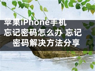 苹果iPhone手机忘记密码怎么办 忘记密码解决方法分享