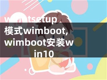 winntsetup模式wimboot,wimboot安装win10
