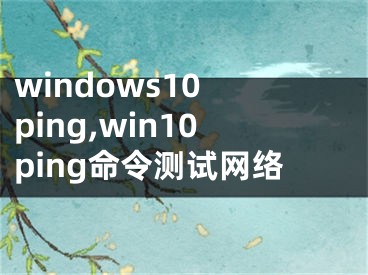 windows10 ping,win10ping命令测试网络
