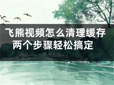 飞熊视频怎么清理缓存 两个步骤轻松搞定