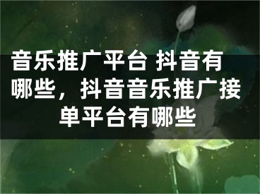 音乐推广平台 抖音有哪些，抖音音乐推广接单平台有哪些 