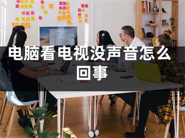 电脑看电视没声音怎么回事