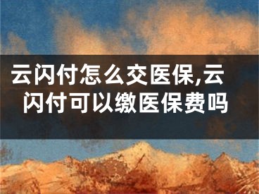 云闪付怎么交医保,云闪付可以缴医保费吗