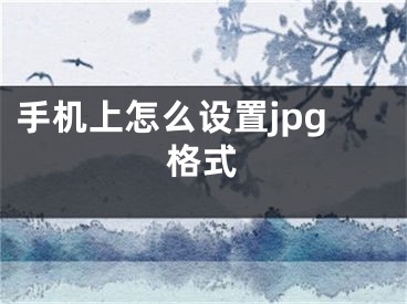 手机上怎么设置jpg格式