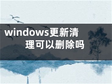 windows更新清理可以删除吗