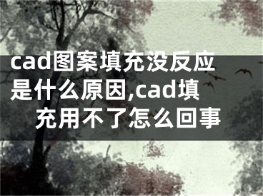 cad图案填充没反应是什么原因,cad填充用不了怎么回事