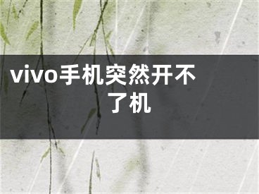 vivo手机突然开不了机