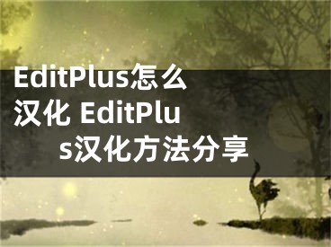 EditPlus怎么汉化 EditPlus汉化方法分享