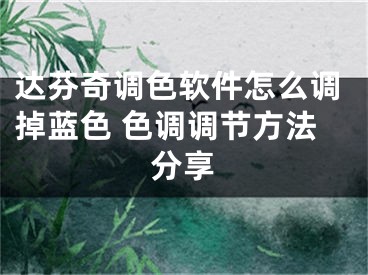 达芬奇调色软件怎么调掉蓝色 色调调节方法分享