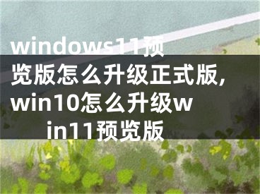 windows11预览版怎么升级正式版,win10怎么升级win11预览版