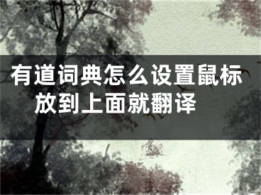 有道词典怎么设置鼠标放到上面就翻译 