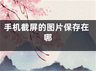 手机截屏的图片保存在哪