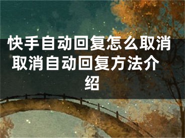 快手自动回复怎么取消 取消自动回复方法介绍