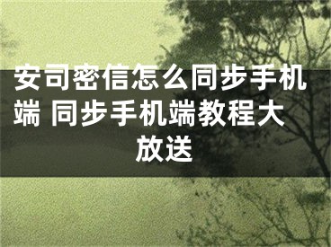 安司密信怎么同步手机端 同步手机端教程大放送